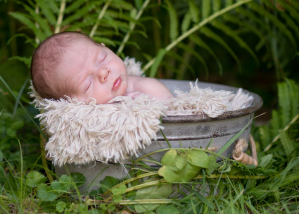 Cute newborn photograph of baby in snuggled up in a bucket among some ferns.  Photographed by Jennifer Jule Studios near Waterford, VA.